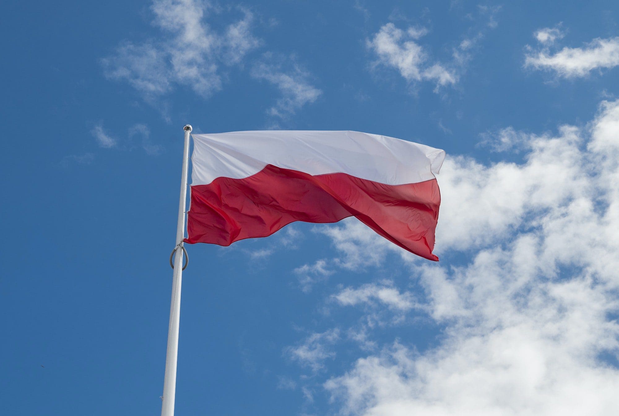 Brakujący. What Has Happened to Poland’s Social Democrats?